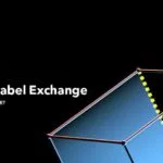 Échange de crypto en marque blanche