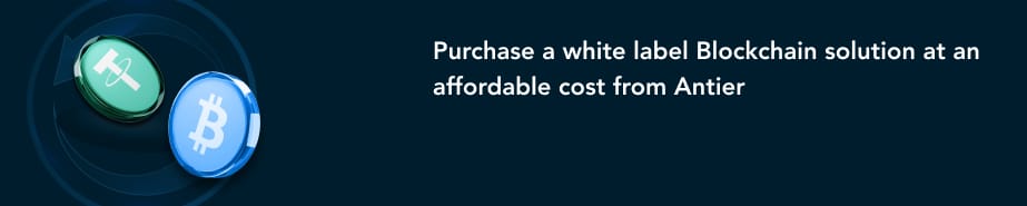 Build Your Tokenization Platform in India