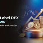 Bannière des fournisseurs DEX en marque blanche