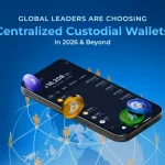 Centralized Crypto Wallets