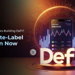 Why Spend Years Building DeFi Go White Label and Win Now