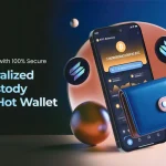 Self-Custody Solana Hot Crypto Wallet