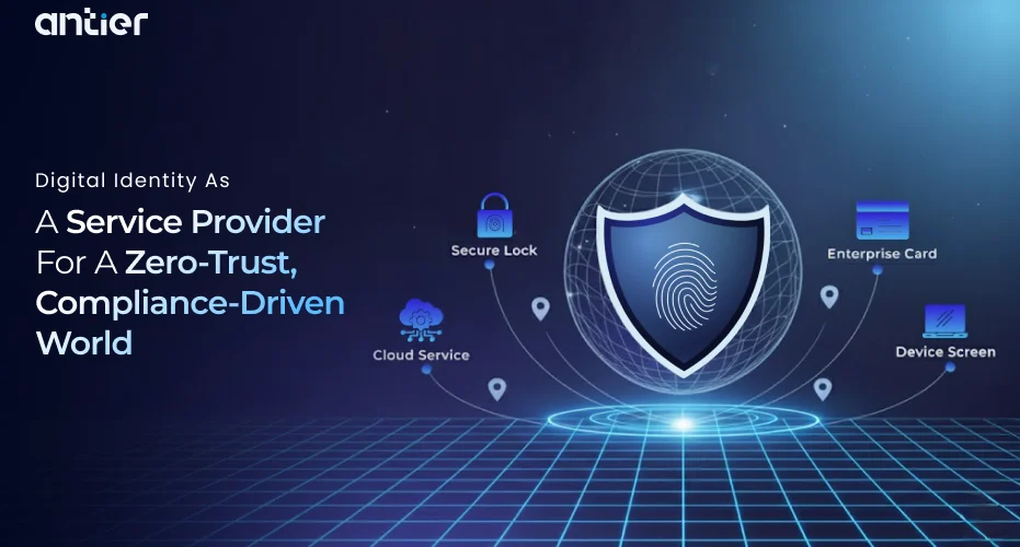 Digital Identity as a Service Provider