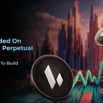 On Chain Perpetual DEXs