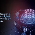 Building Trust in a Zero Trust Digital World Powered By Blockchain