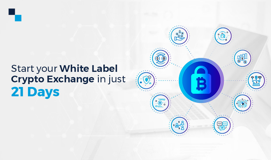 white label crypto exchange platforma