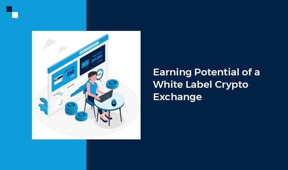 White Label Crypto Exchange Software