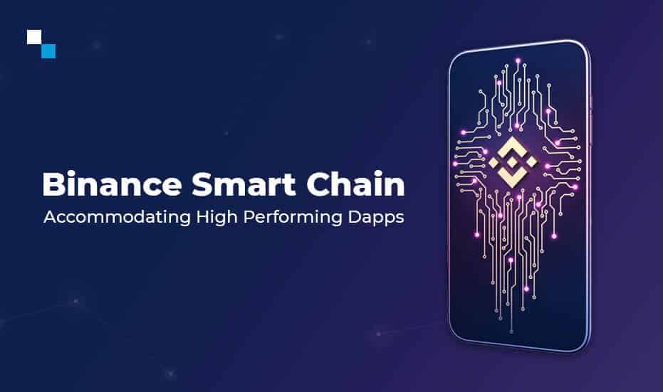 Binance Smart Chain Development
