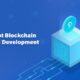 Polkadot blockchain development