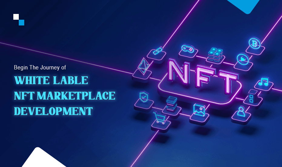 Let NFT Marketplace Developer Help You To Launch White Label Digital Platform