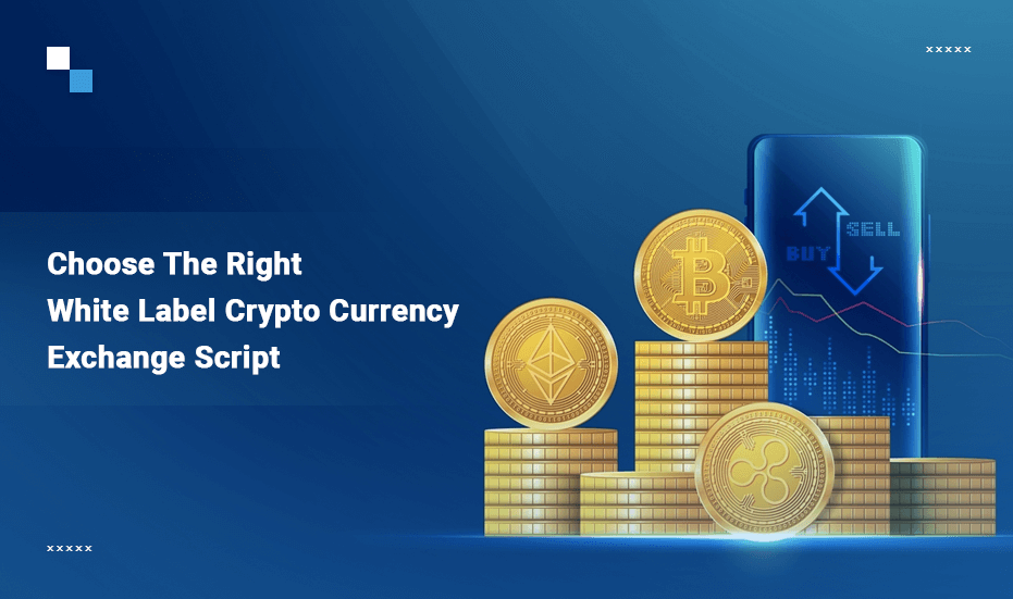 Use White label Crypto Trading Script To Build A Profit Making Platform
