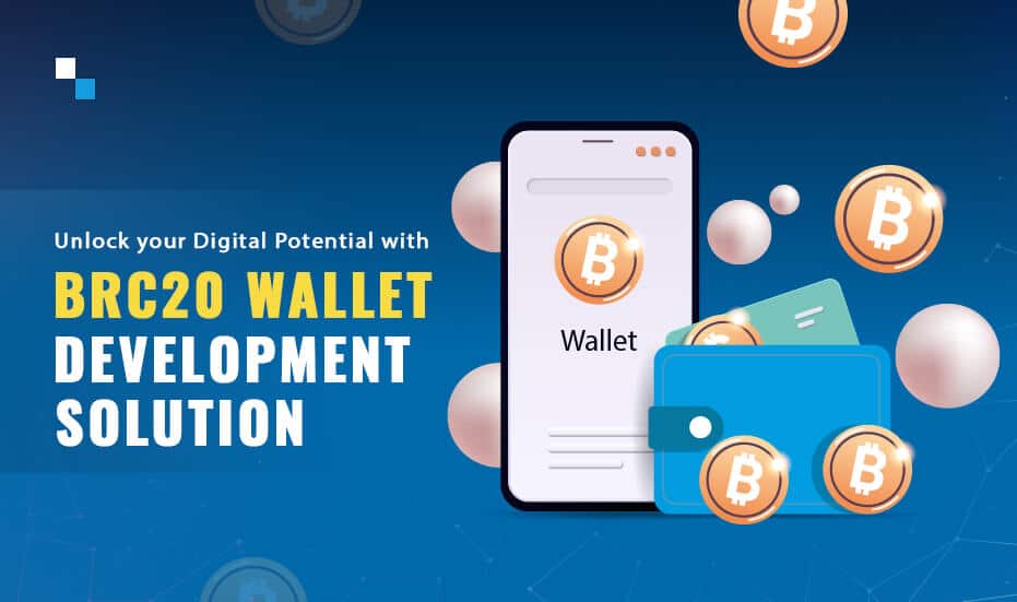 BRC20 Wallet Development