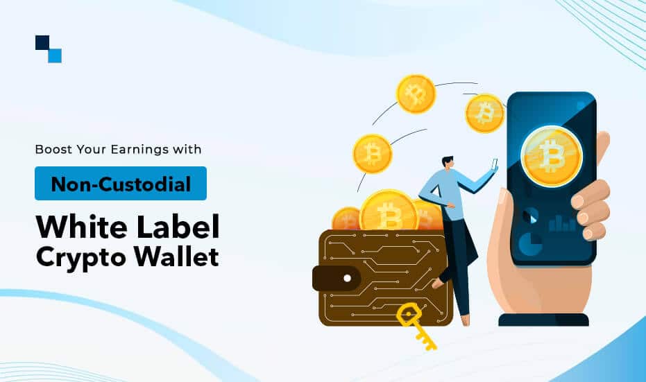 Boost Your Earnings with Non-Custodial White Label Crypto Wallet