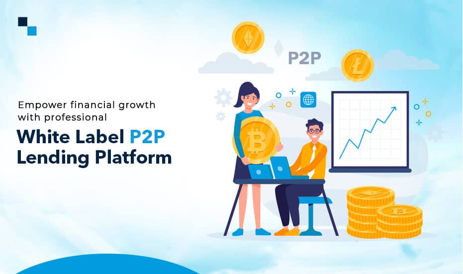 Empower financial growth with professional white label P2P lending platform development