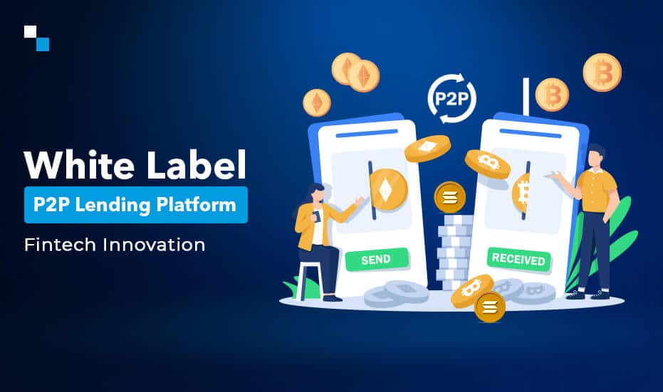 White Label P2P Lending Platform-Fintech Innovation