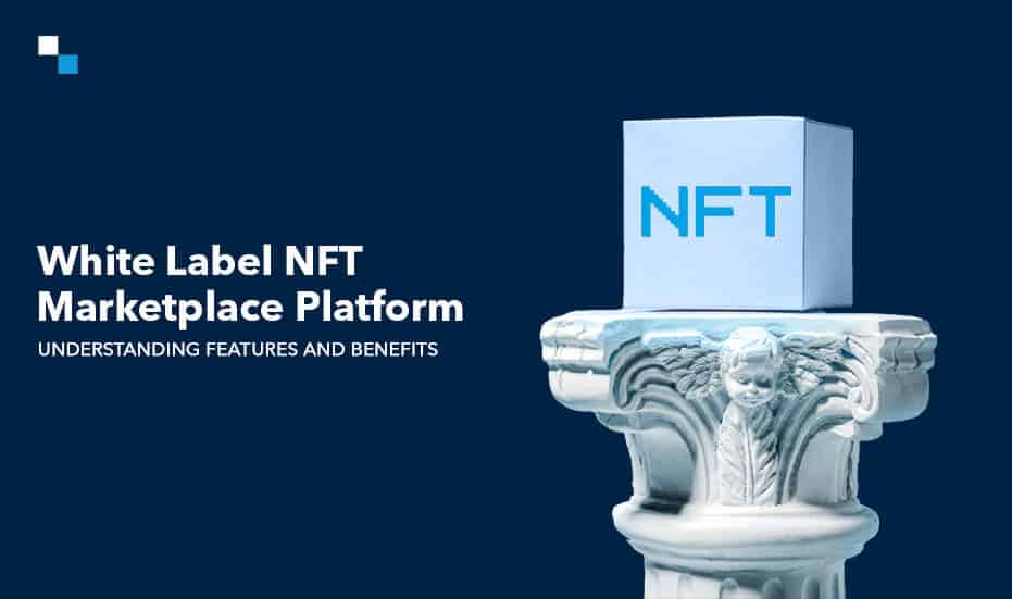 White Label NFT Marketplace Platform: Understanding Features and Benefits