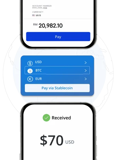 Société de développement de plateformes de transfert de fonds Stablecoin