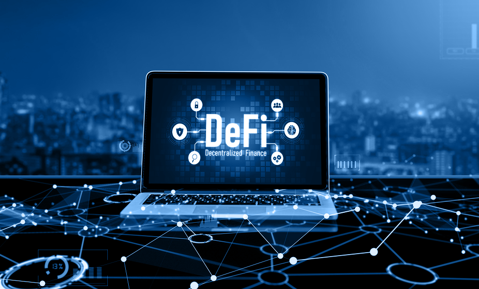 iDP software development