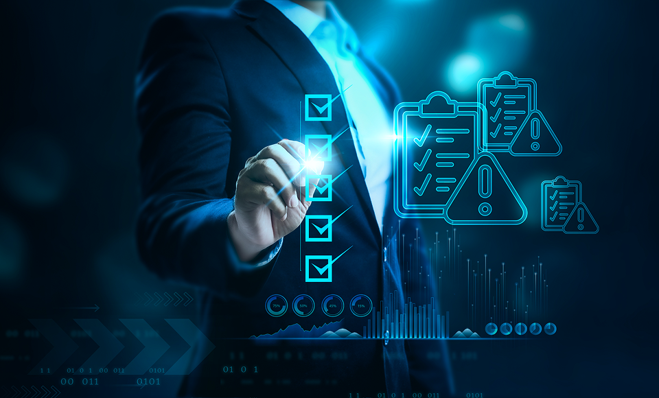 iDP software development