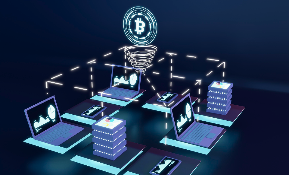 iDP software development