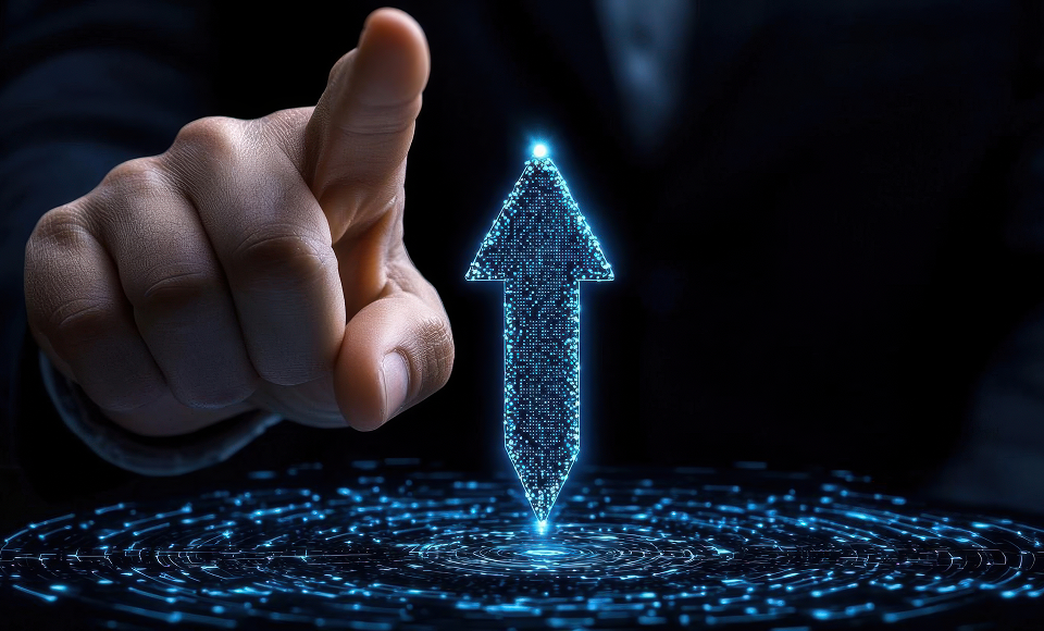 iDP software development